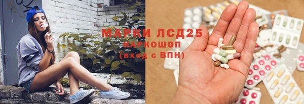 гидра Армянск
