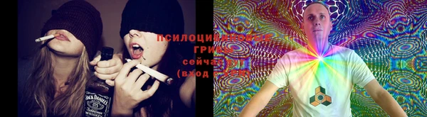 mdpv Алексеевка