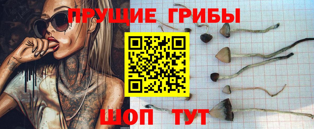 Псилоцибиновые грибы прущие грибы Ярцево