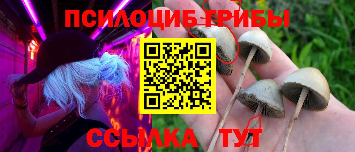 Ярцево  Галлюциногенные грибы Magic Shrooms  Вход с VPN  Галлюциногенные грибы Cubensis 